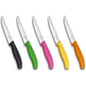 Нож для стейков VICTORINOX 6.7936.12L9